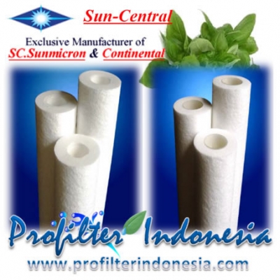 http://laserku.com/upload/Sun%20Central%20Continental%20CPHL60-050-30%20Cartridge%20Filter%2050%20Micron%2030_20190502111113_large2.jpg