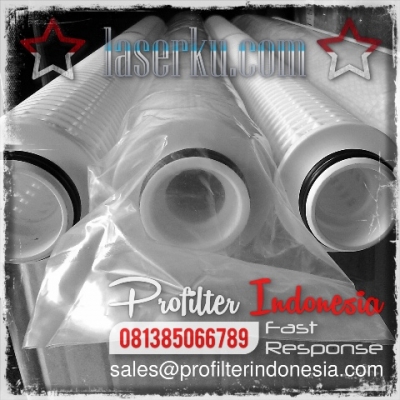https://laserku.com/upload/PFI%20Twin%20Filter%20Cartridge%20Indonesia_20200622223230_large2.jpg