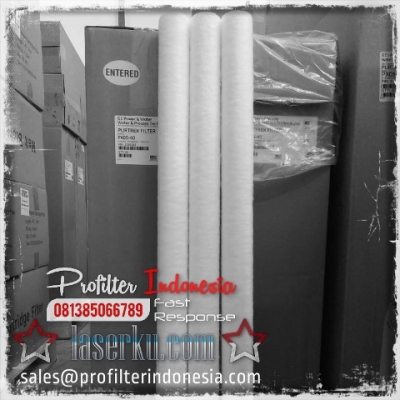 https://laserku.com/upload/Purtrex%20Cartridge%20Filter%20Indonesia_20200622232649_large2.jpg