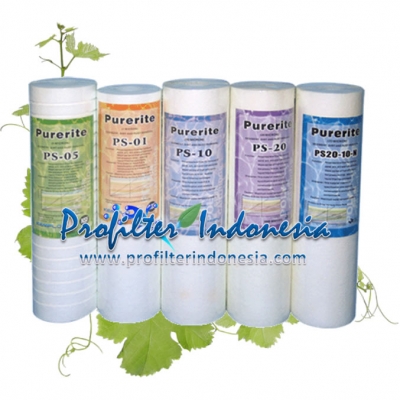 https://laserku.com/upload/purerite%20filter%20cartridge%20profilterindonesia_20181112115909_large2.jpg